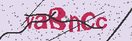 Codice captcha